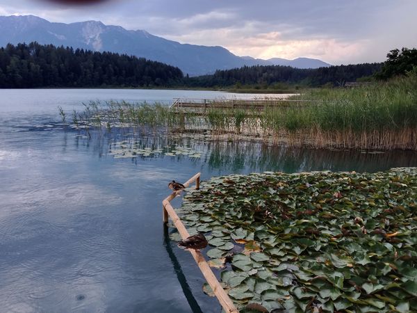 Badespaß mit Seeblick