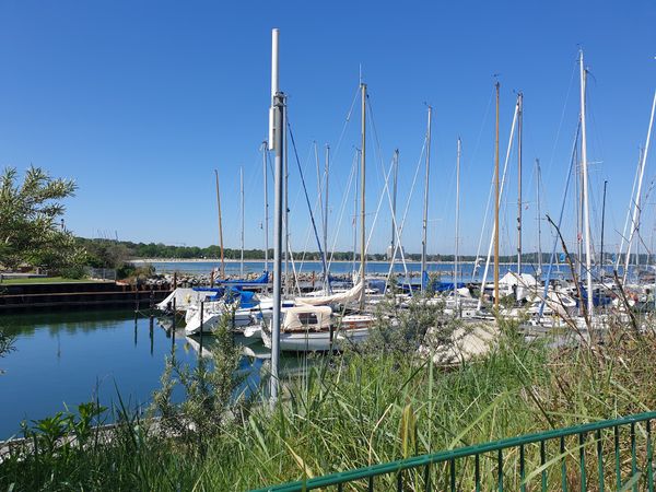Maritimes Flair und leckere Fischbrötchen