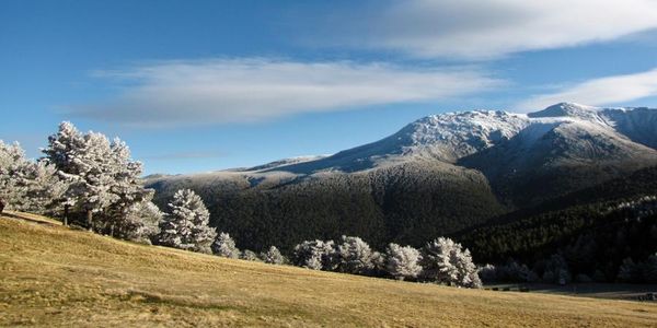 Erlebe die Wildnis Spaniens hautnah