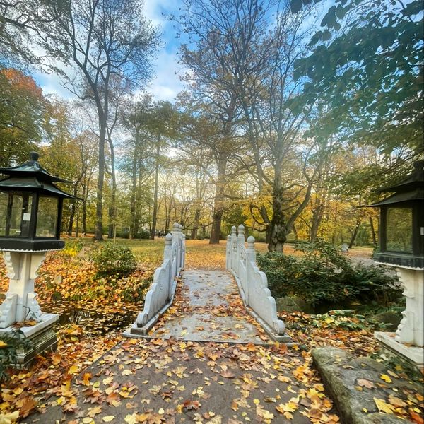 Idyllisches Gartencafé unter Kirschbäumen