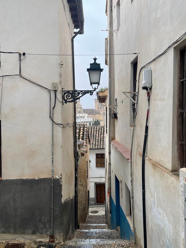 Tee mit Alhambra-Blick