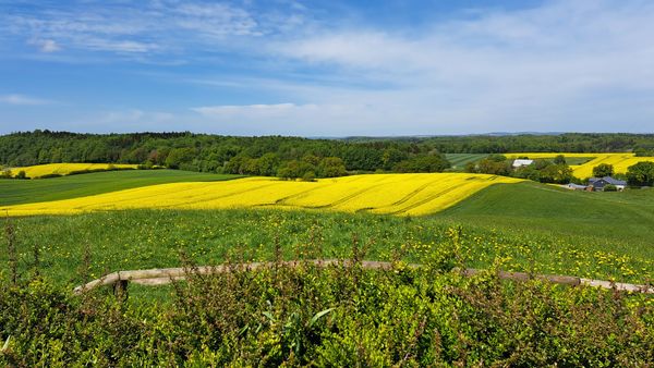 Schleswig-Holsteins höchster Punkt