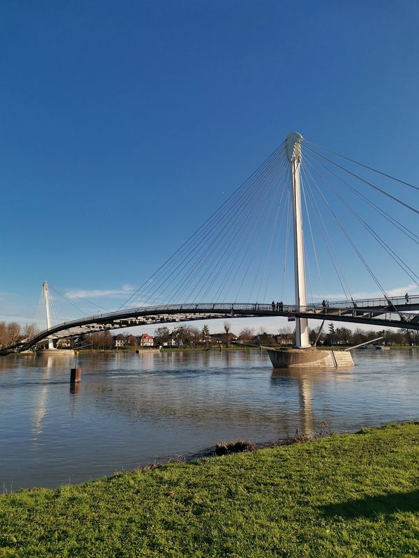 Grüne Oase mit Blick auf den Rhein