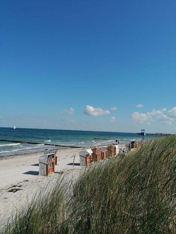 Spaß für Vierbeiner am Strand