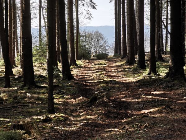 Wanderabenteuer im Hausgebirge der Hannoveraner