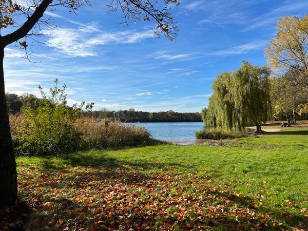 Entspannung und Natur pur am Auwaldsee