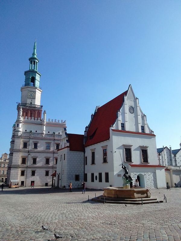 Erlebe das bunte Treiben am Stary Rynek