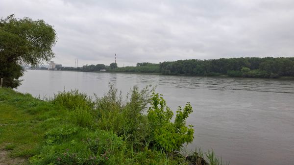 Gemütlich frühstücken direkt an der Donau