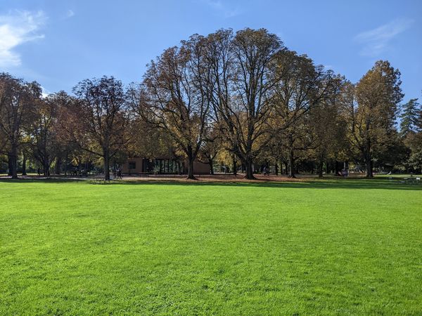 Grüne Oasen in der Stadt