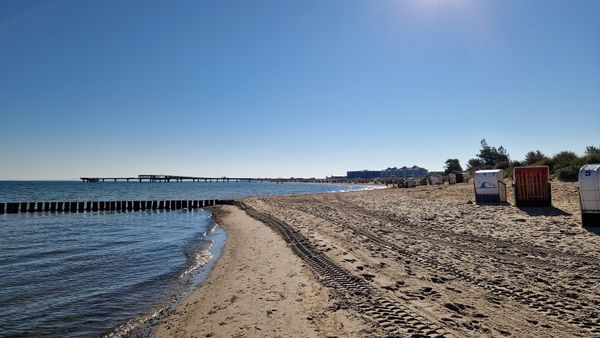 Spaß für Vierbeiner am Strand