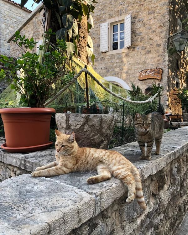 Historisches Flair in Budvas Altstadt