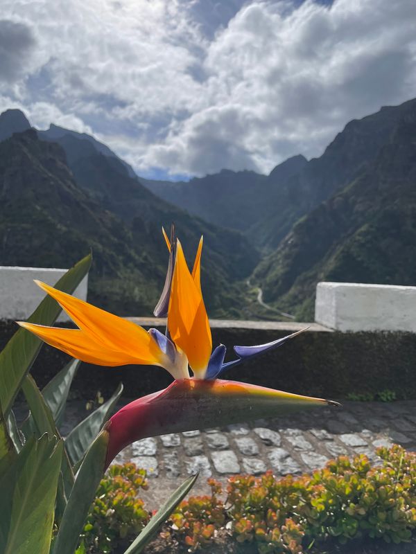 Atmenberaubender Blick auf Berge und Meer