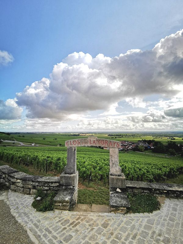 Genieße Burgunds Weinlandschaft