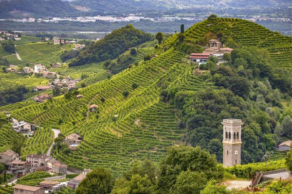 Weinprobe in den Prosecco Hügeln