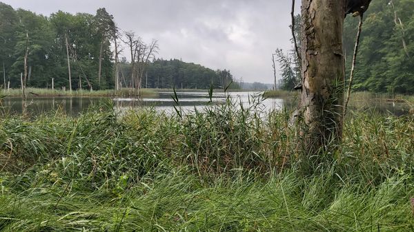 UNESCO Welterbe erkunden