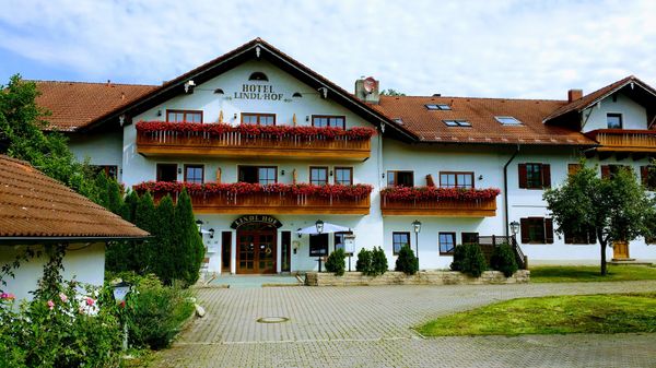 Frische Landeier direkt vom Bauernhof