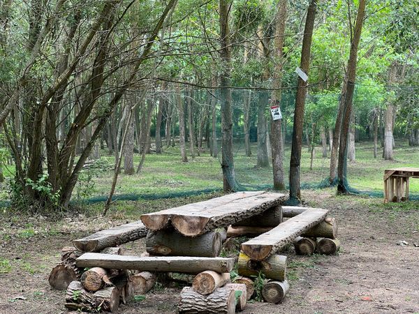 Actionreicher Spaß im Wald