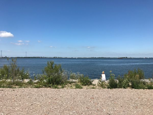 Amsterdams Strandparadies entdecken