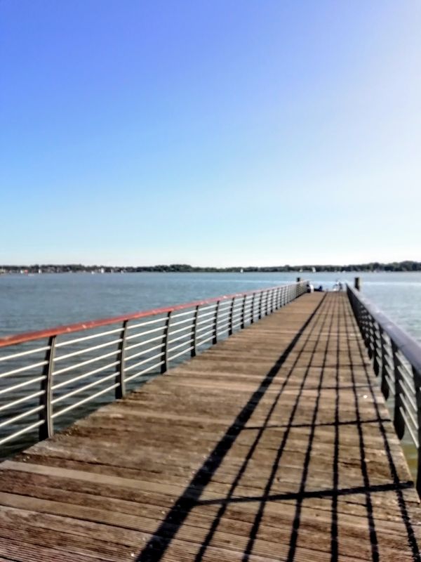 Natur pur an der Schlei erleben