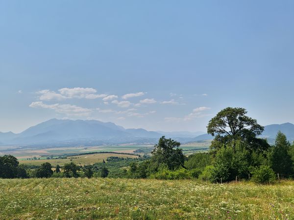 Schutzraum für Braunbären