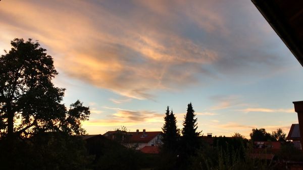 Frische Landeier direkt vom Bauernhof