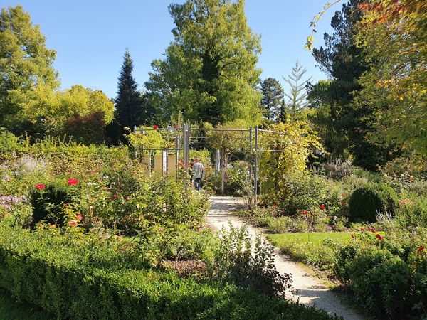 Blumenpracht im Stadtzentrum