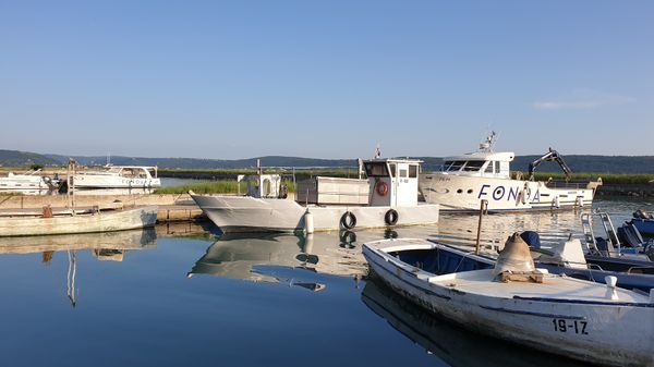 Nachhaltige Fischzucht kennenlernen