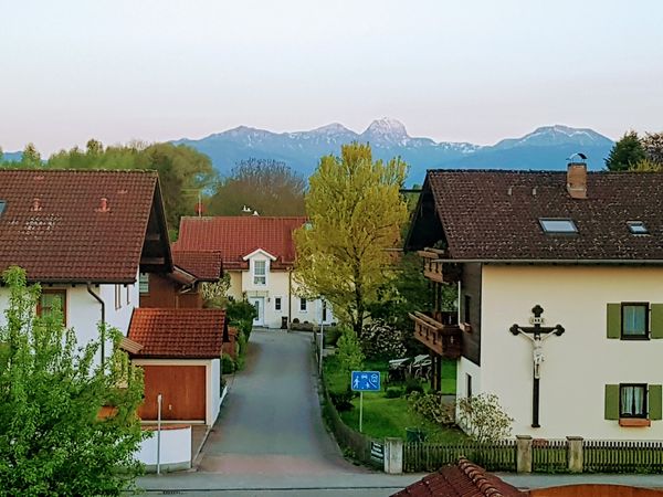 Frische Landeier direkt vom Bauernhof