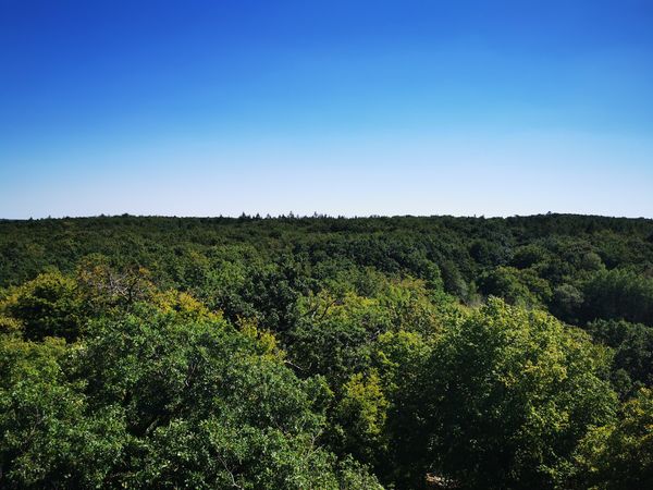 Atemberaubende Aussichten über Wald und See