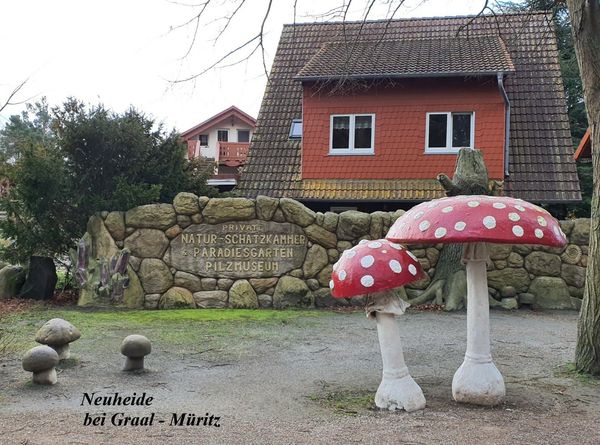 Entdecke glitzernde Naturwunder
