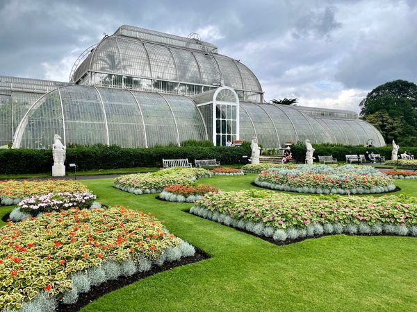 Seltene Pflanzen in Kew Gardens bestaunen