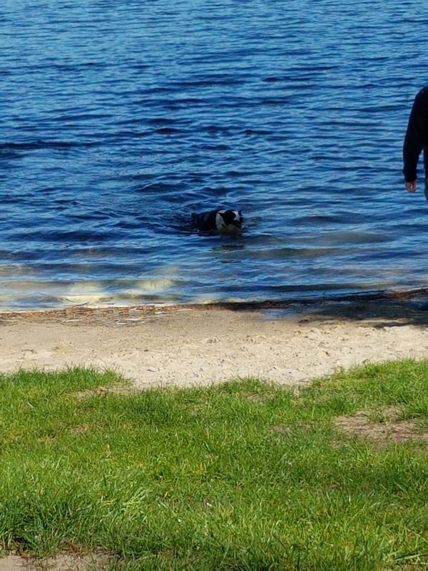 Badefreuden am tiefsten See