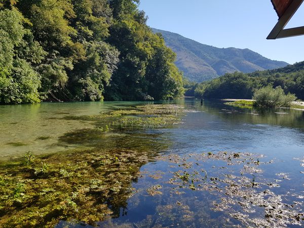 Einzigartiges Naturphänomen erleben