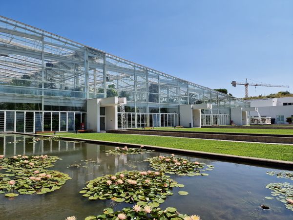 Der älteste Botanische Garten der Welt