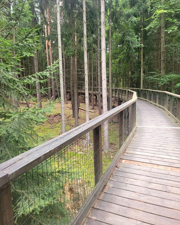 Naturwunder entdecken