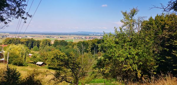 Gotische Meisterwerke entdecken