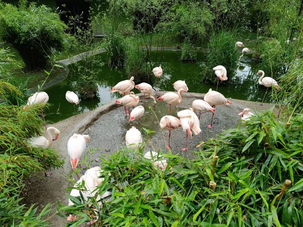 Tierisches Vergnügen für die ganze Familie