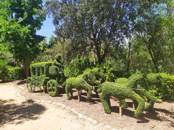 Magischer Park voller grüner Skulpturen