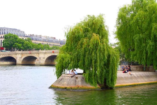 Ruhige Oase an der Seine