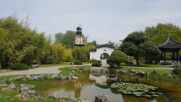 Blumenpracht im ehemaligen Gartenschaupark