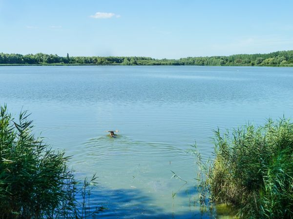 Natur pur am kleinen Balaton