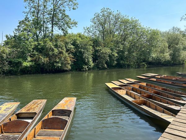 Ein idyllisches Punting-Abenteuer