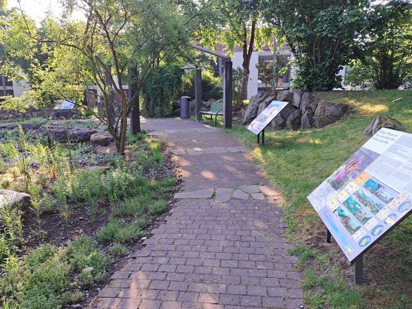 Grüne Oasen in der Rhön erkunden