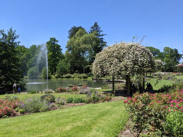 Blühende Wunder im botanischen Garten