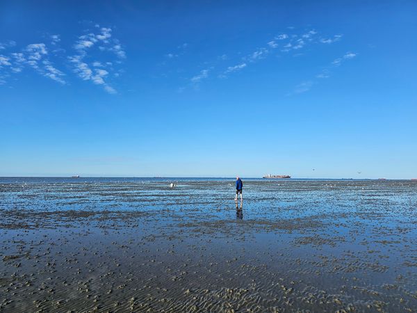 Naturwunder an der Nordseeküste