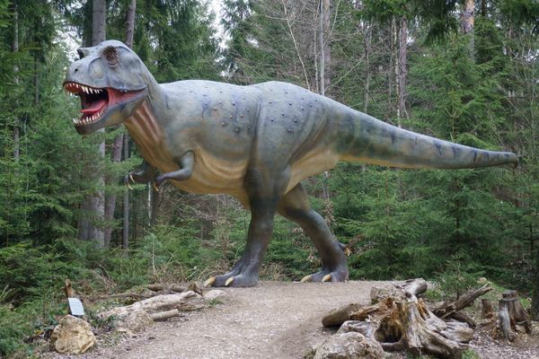 Jurassic Park hautnah erleben