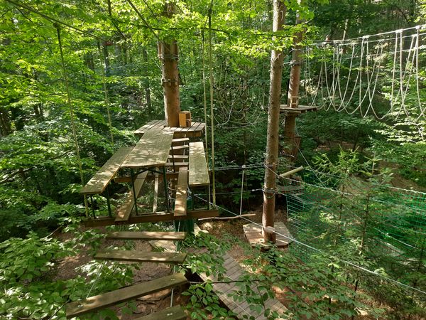 Hoch hinaus im Kletterpark