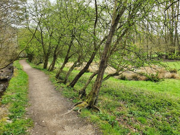 Lehrreiche Spaziergänge auf dem Natur-Lehrpfad