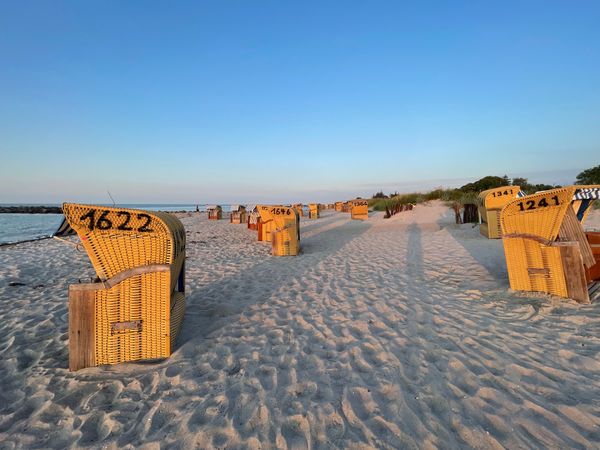 Entspannte Strandtage mit Hund