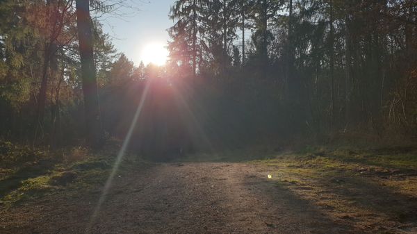 Naturabenteuer südlich der Elbe